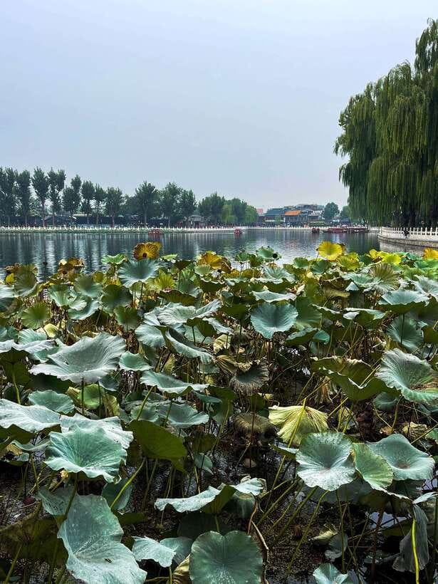 Beijing: Hutongs & Drum Tower City Walking Tour - Seeing a local courtyard home