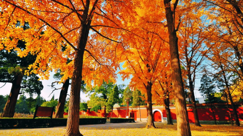 Beijing: JingShan park (palace museum garden) entry ticket - Key points to know before you go