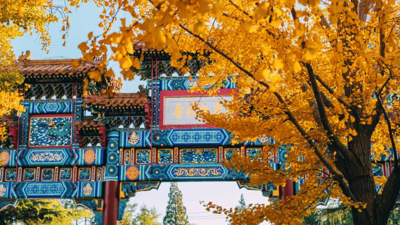 Beijing: Lama Temple (Yonghe Temple) Admission Ticket - Yonghe Palace Hall and the sacred atmosphere