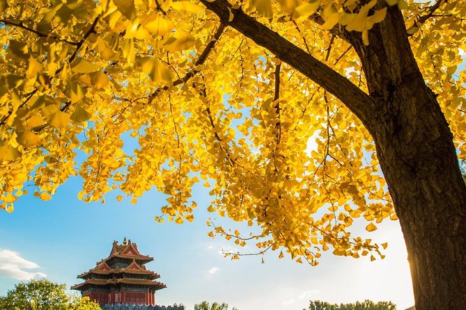 Beijing Layover Tour to Tiananmen Square and Forbidden City - Walking into the Forbidden City