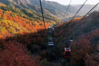 Mutianyu Great Wall Private Layover Tour with Options