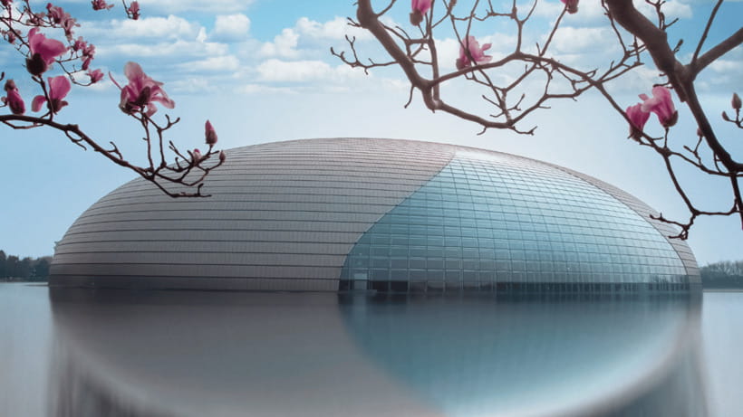 Beijing: Natinonal Center For The Peformance Arts Ticket - Meeting at the North Gate