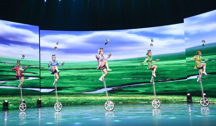 Beijing Night Tour with Acrobatics Show & PekingDuck Dinner - Peking Duck makes dinner the cultural centerpiece