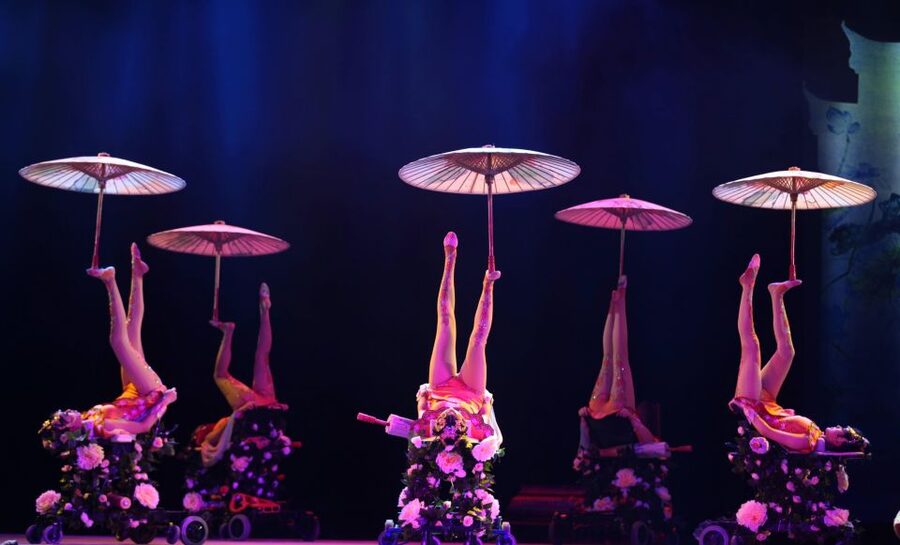 Beijing Night Tour with Acrobatics Show & PekingDuck Dinner - Who will enjoy this evening most?