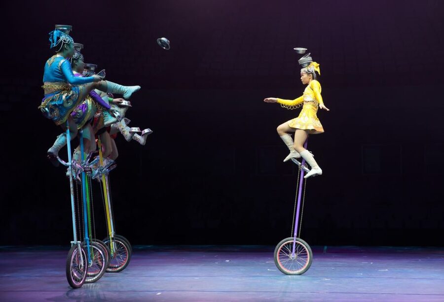 Beijing Night Tour with Acrobatics Show & PekingDuck Dinner - The practical details that matter