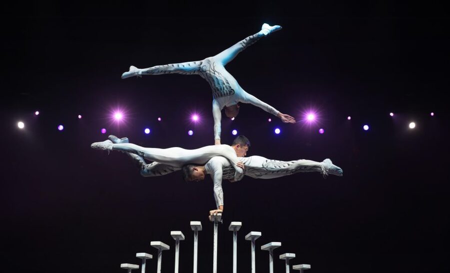 Beijing Night Tour with Acrobatics Show & PekingDuck Dinner - Should you book the Beijing Night Tour?