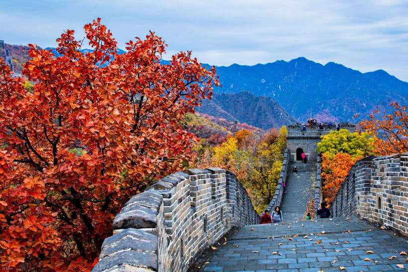 Beijing: Panda House w/Great Wall or City Sites Private Tour - Timing, comfort, and practical limits