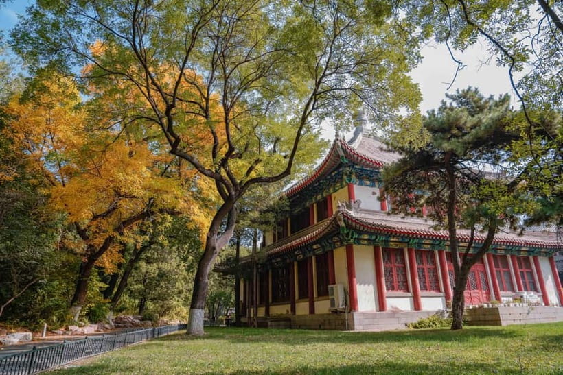 Beijing: Peking University Campus Guided Walking Tour - Peking University Library and Cai Yuanpei