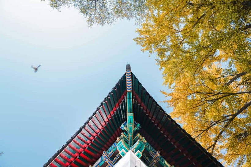 Beijing: Peking University Campus Guided Walking Tour - From Yenching University to Modern PKU