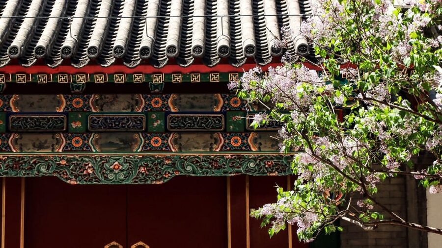 Beijing: Summer Palace Entry Ticket and Optional Guided Tour - Family appeal and solo travel