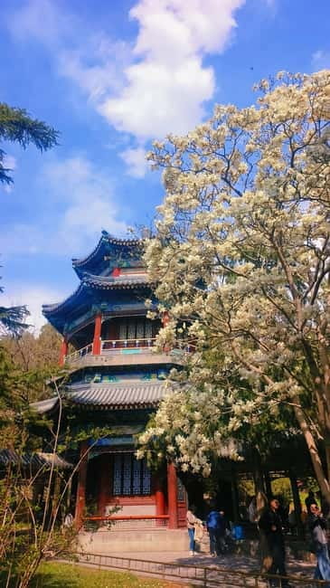 Beijing: Summer Palace Highlight Walking Tour - Four Great Regions and Buddhist design
