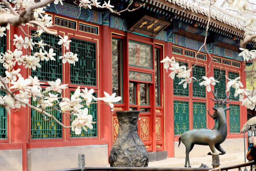 Beijing: Summer Palace, Sacred Road&Ming Tombs Private Tour - Why this combination works so well
