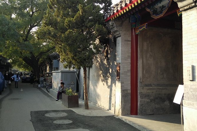Beijing Tailored Privated Day Trip by Licensed Driver - Mutianyu Great Wall: choose it only when it is your priority