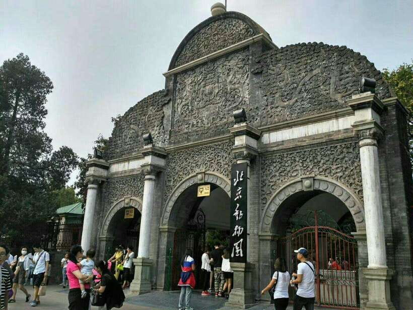 Beijing: The Beijing Zoo Entry Ticket with Pandas - The Panda House is the best first stop