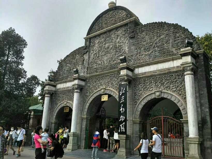 Beijing: The Beijing Zoo Entry Ticket with Pandas - Beyond pandas: China’s rare native animals