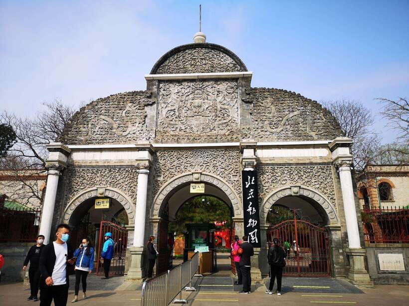 Beijing: The Beijing Zoo Entry Ticket with Pandas - Where the zoo can disappoint