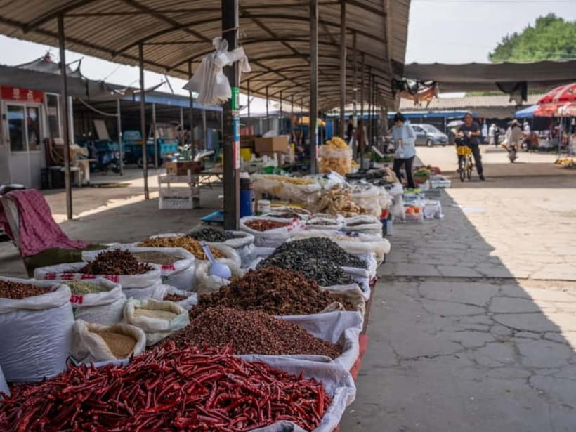 Beijing: Vegan Home Cooking & Local Market Tour with Sanxia - What you may cook during the hands-on session