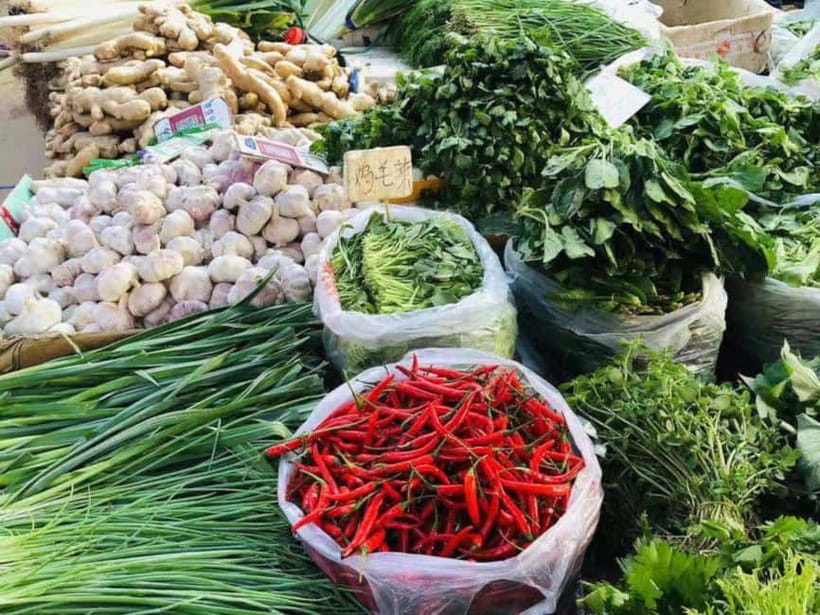 Beijing: Vegan Home Cooking & Local Market Tour with Sanxia - Sanxia’s home makes the class personal