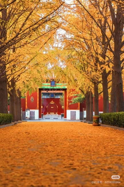 Beijing: Yonghe Lama Temple Tickets with guide (optional) - Getting to No. 12 Yonghegong Street