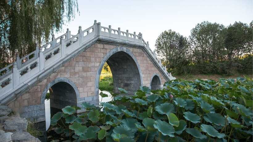 Beijing: YuanMingYuan Park (Garden of Gardens) e-Ticket - Lakes, lilies, and the quieter side of the park