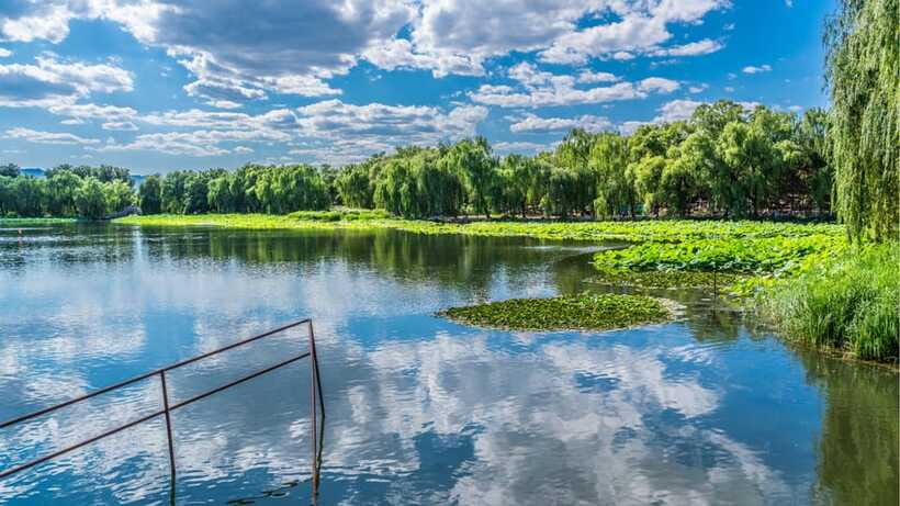 Beijing: YuanMingYuan Park (Garden of Gardens) e-Ticket - Walking through the former Qing royal gardens