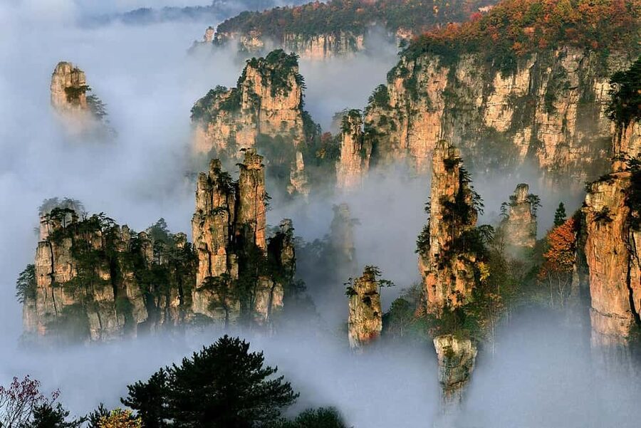 Best Mini Group to Zhangjiajie Forest Park & Avatar Mountain - Why this Zhangjiajie tour is useful