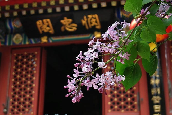 BusDa-Full-Day Bus Trips: Mutianyu, Summer & Old Summer Palaces - My booking verdict