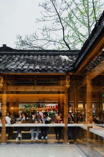 Chengdu: City Walking Tour with Food and Culture Stops - People’s Park and Chengdu’s Teahouse Rituals