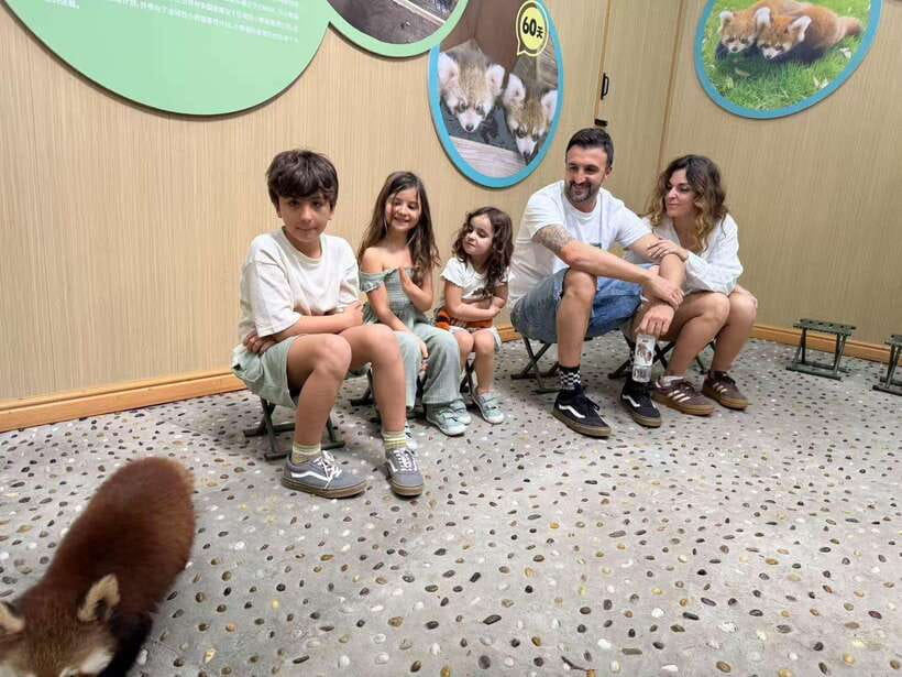Chengdu: Dujiangyan Panda Base Volunteering Day Trip - Who will get the most from this experience
