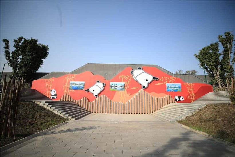 Chengdu: Half-Day Panda Base Tour with Guide Option - How to prepare for the walking and viewing areas