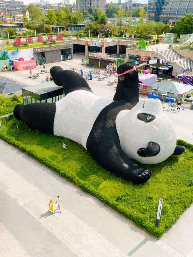 Chengdu: Hidden Wonders Day Tour with Wolong Panda Base - Why this route works for a Chengdu day