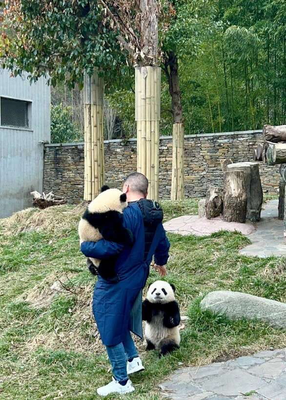 Chengdu: Hidden Wonders Day Tour with Wolong Panda Base - Yantianwo and the giant panda sculpture