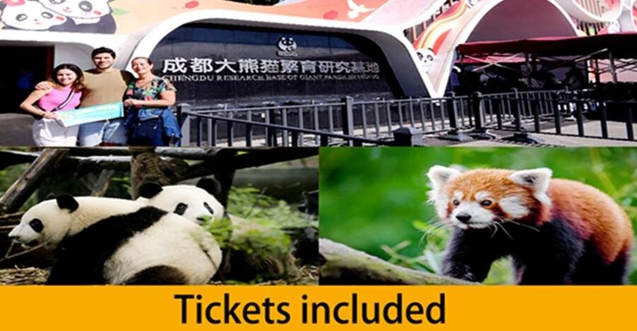 Chengdu panda base half day tour - Key points at a glance