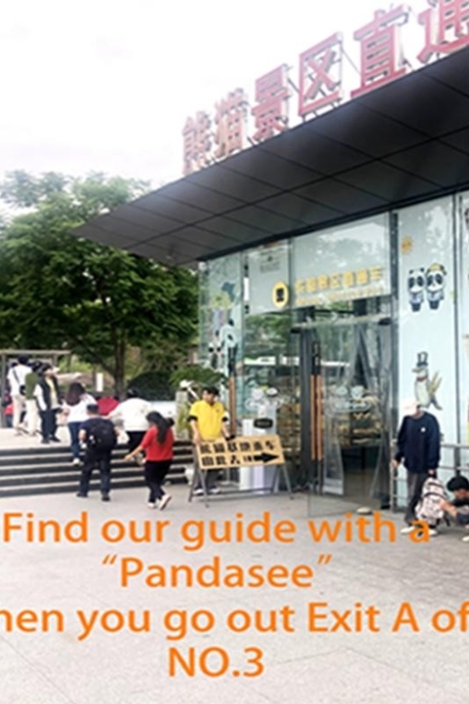 Chengdu panda base half day tour - Why this four-hour panda tour works well