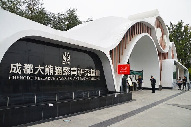 Chengdu Panda Breeding Base Ticket w/ Optional Transfer or Guide - Why the Chengdu Panda Base is worth your morning