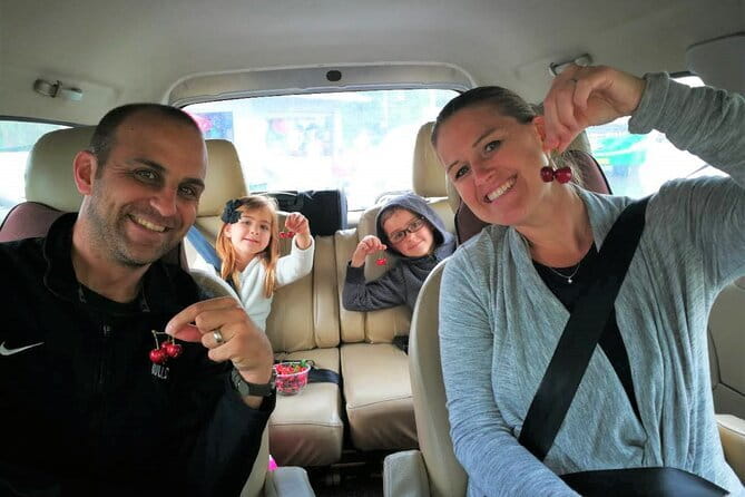 Chengdu Panda Breeding Base Ticket w/ Optional Transfer or Guide - Meeting your guide or driver at the hotel