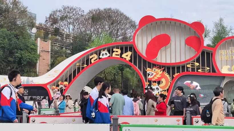 Chengdu: Panda Breeding Base Tickets Booking - Food, timing, and what to bring