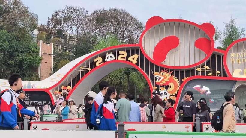Chengdu: Panda Breeding Base Tickets Booking - Why early morning matters at the panda enclosures