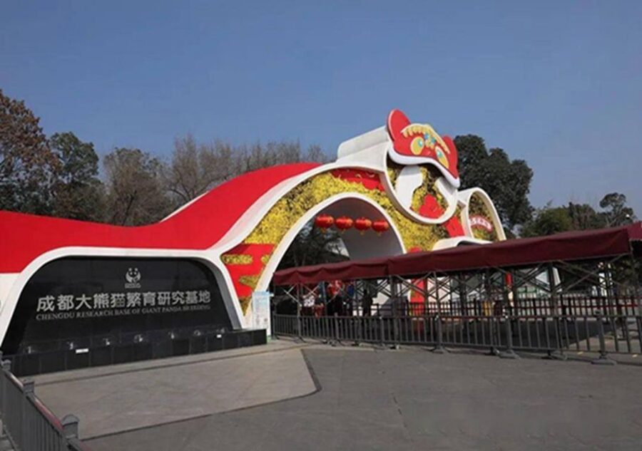 Chengdu panda & Leshan Buddha One Day Private Tour - Why this makes sense in a tight Chengdu schedule