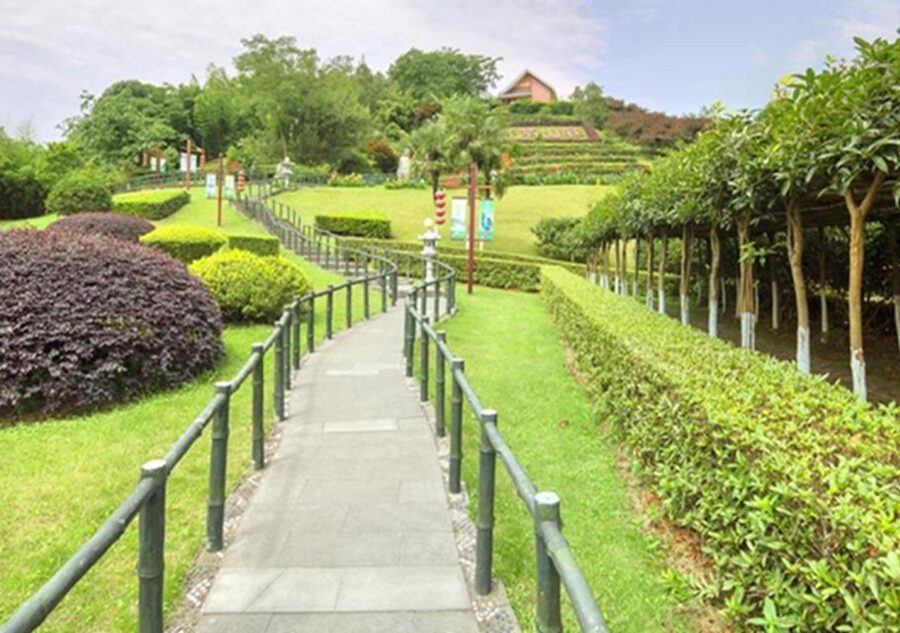 Chengdu panda & Leshan Buddha One Day Private Tour - The drive to Leshan gives the day its breathing space