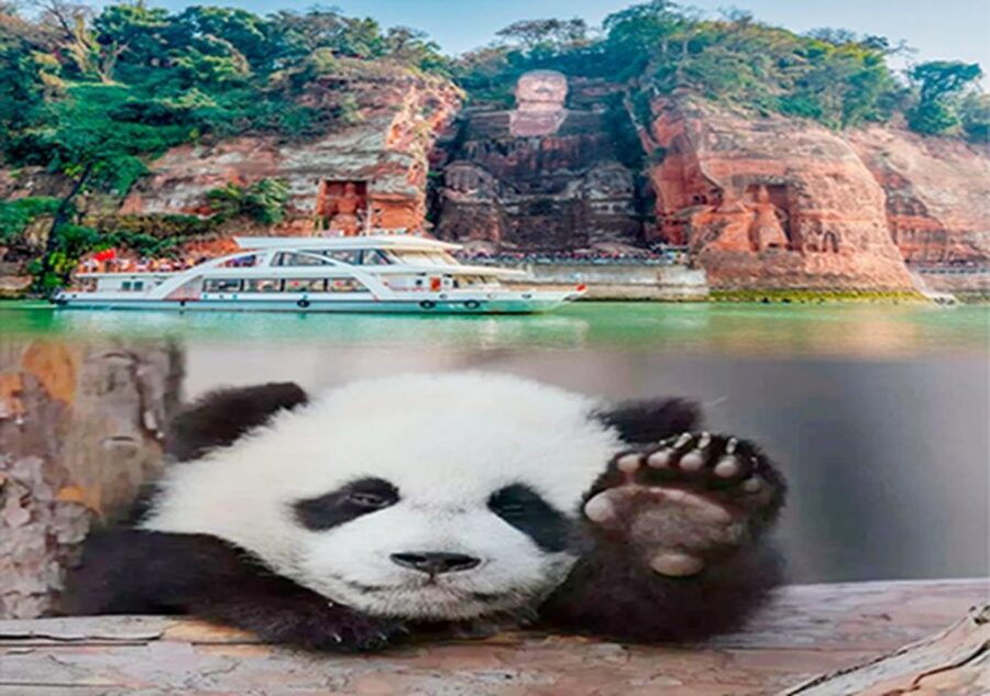 Chengdu panda & Leshan Buddha One Day Private Tour - Who should book this 10-hour day?