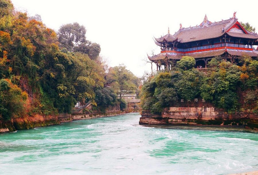 Chengdu: Panda Research Base Ticket or Volunteer Day Trip - What the $9 price really tells you