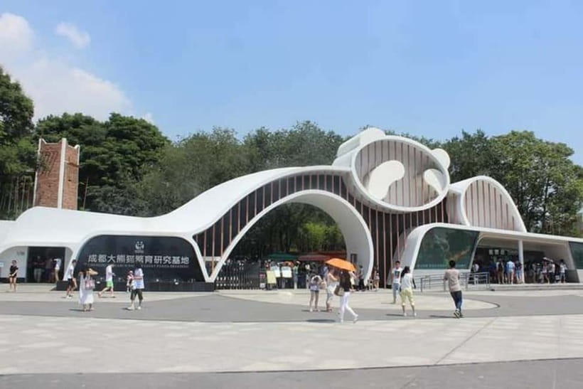Chengdu: Panda Research Base Ticket or Volunteer Day Trip - Why the season changes your panda visit