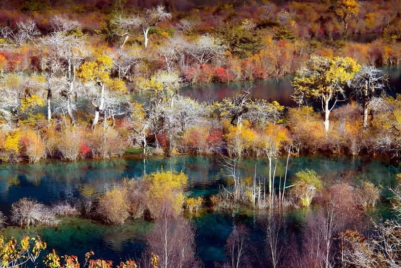 Chengdu: private 2-Day Huanglong Jiuzhaigou tour by train - Day 2: How to use Jiuzhaigou’s three valleys