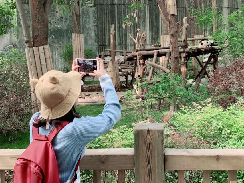 Chengdu: Private Panda Base Tour with 80 Pandas - Afternoon departures and their trade-offs