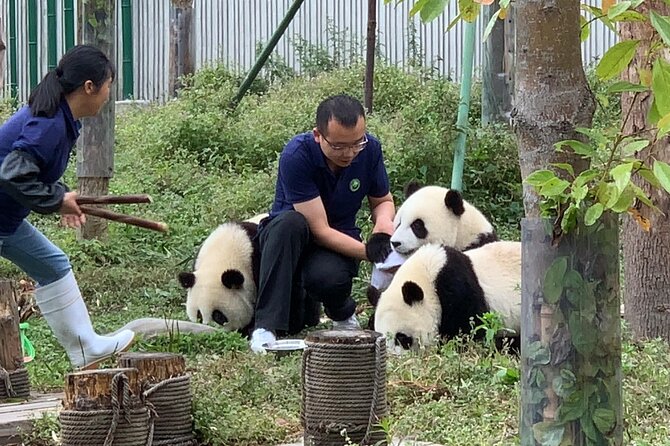 Chengdu: Volunteer Day Experience at Dujiangyan Panda base - Key Details Before You Book