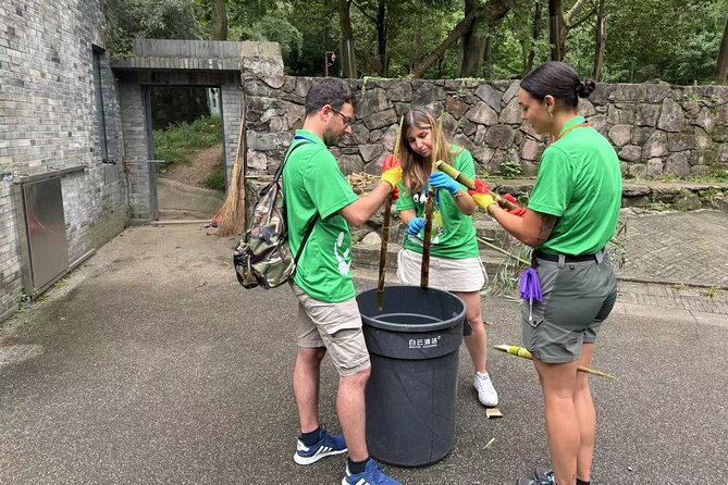 Chengdu: Volunteer Day Experience at Dujiangyan Panda base - What This Panda Day Is Really Like