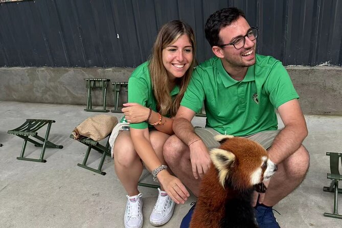 Chengdu: Volunteer Day Experience at Dujiangyan Panda base - 11:30 AM: More Pandas, Red Pandas, and Panda Cakes