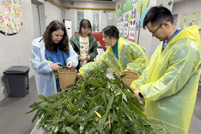 Chengdu: Volunteer Day Experience at Dujiangyan Panda base - The 7:20 am pickup and ride from Chengdu