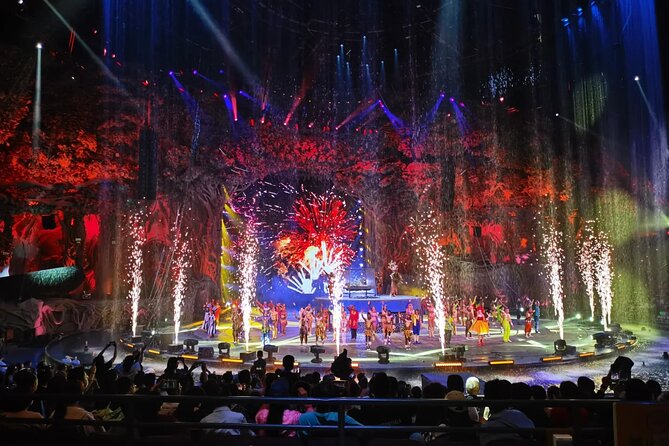 Chimelong International Circus Ticket with Transfer - Is the $80 price good value?